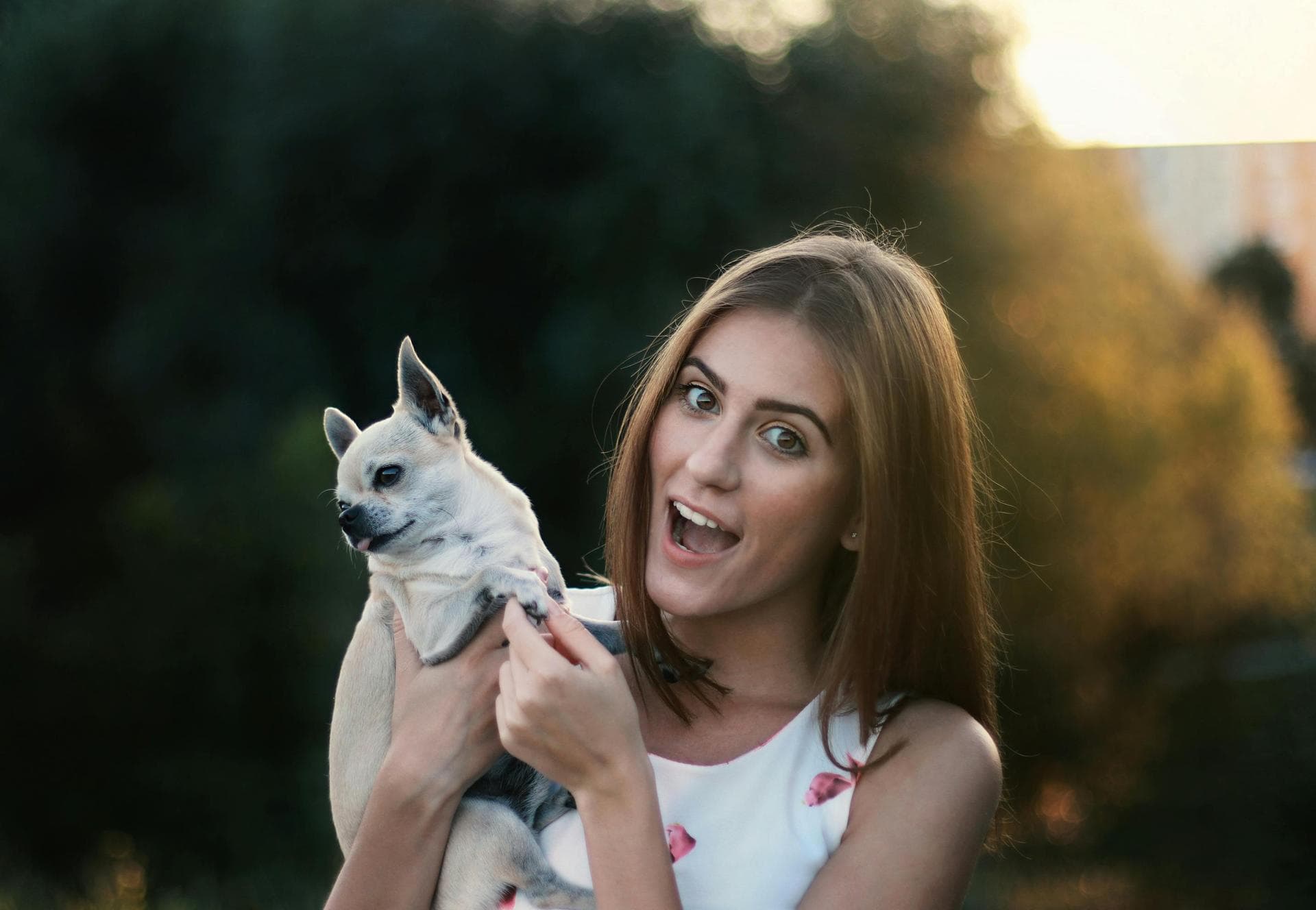 Dog & Cat Vets in Drogheda